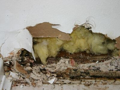 About Ahwatukee Foothills Village Water Damage Restoration - water damage restoration experts in Phoenix ,Ahwatukee Foothills Village